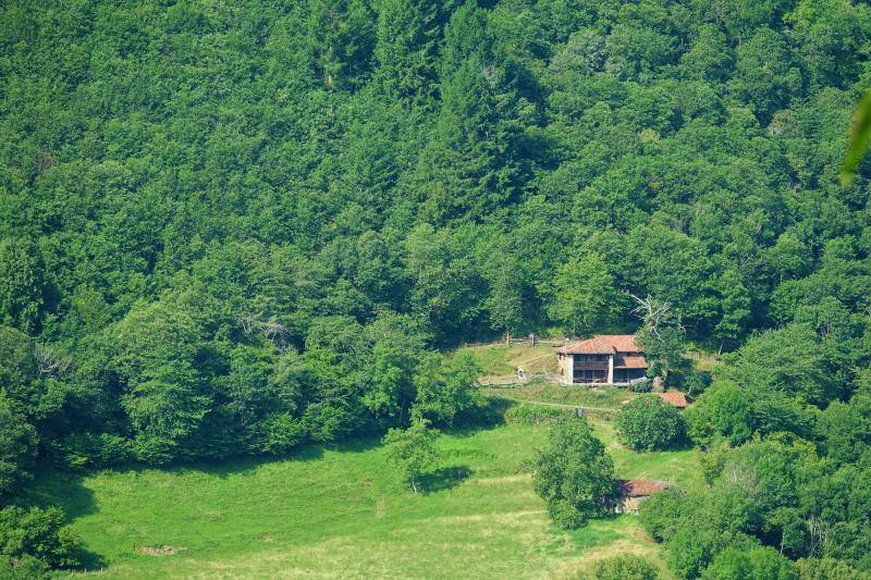 Ponga está considerado un auténtico paraíso para los amantes de la naturaleza. Destacan sus cumbres, como Tiatordos o Sobanciu; pueblos como Beleñu, Cainaba o Sobrefoz, sin olvidarnos de su fauna. 