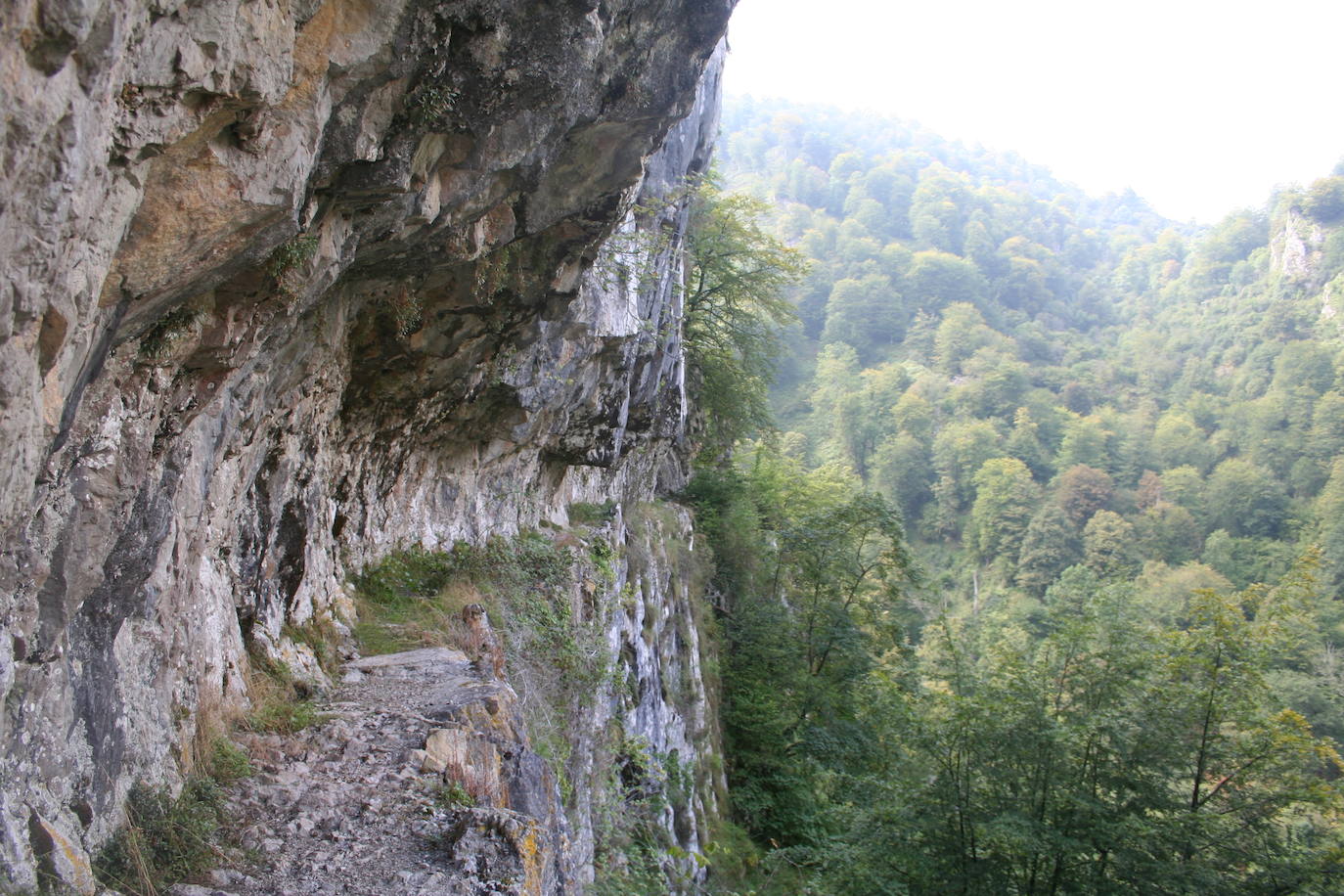 Foces del Casano (Cabrales)