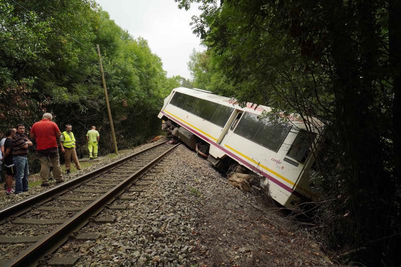 El suceso se produjo entre las localidades de Celorio y Poo al chocar el convoy con unas cinco vacas que invadieron las vías, lo que provocó su descarrilamiento, según confirman desde Renfe. En el tren viajaban 25 pasajeros, el maquinista y un interventor y ninguno de ellos ha resultado herido. El grupo ha tenido que ser evacuado por las propias vías para continuar su trayecto por carretera.