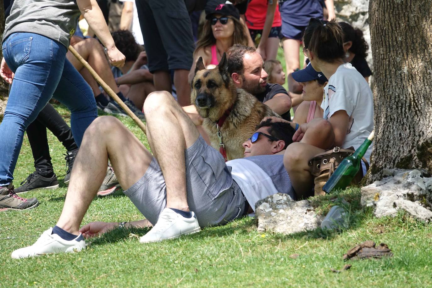 La Fiesta del Pastor volvió a congregar a numerosos curiosos y participantes en los pastos de los Lagos de Covadonga donde el mundo rural de Picos de Europa celebra una jornada festiva y reivindicativa. 