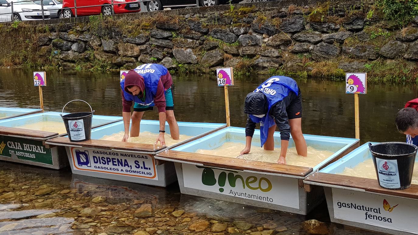 El Campeonato Nacional de Bateo de Oro de Navelgas ha superado el récord de inscripción con más de 200 participantes