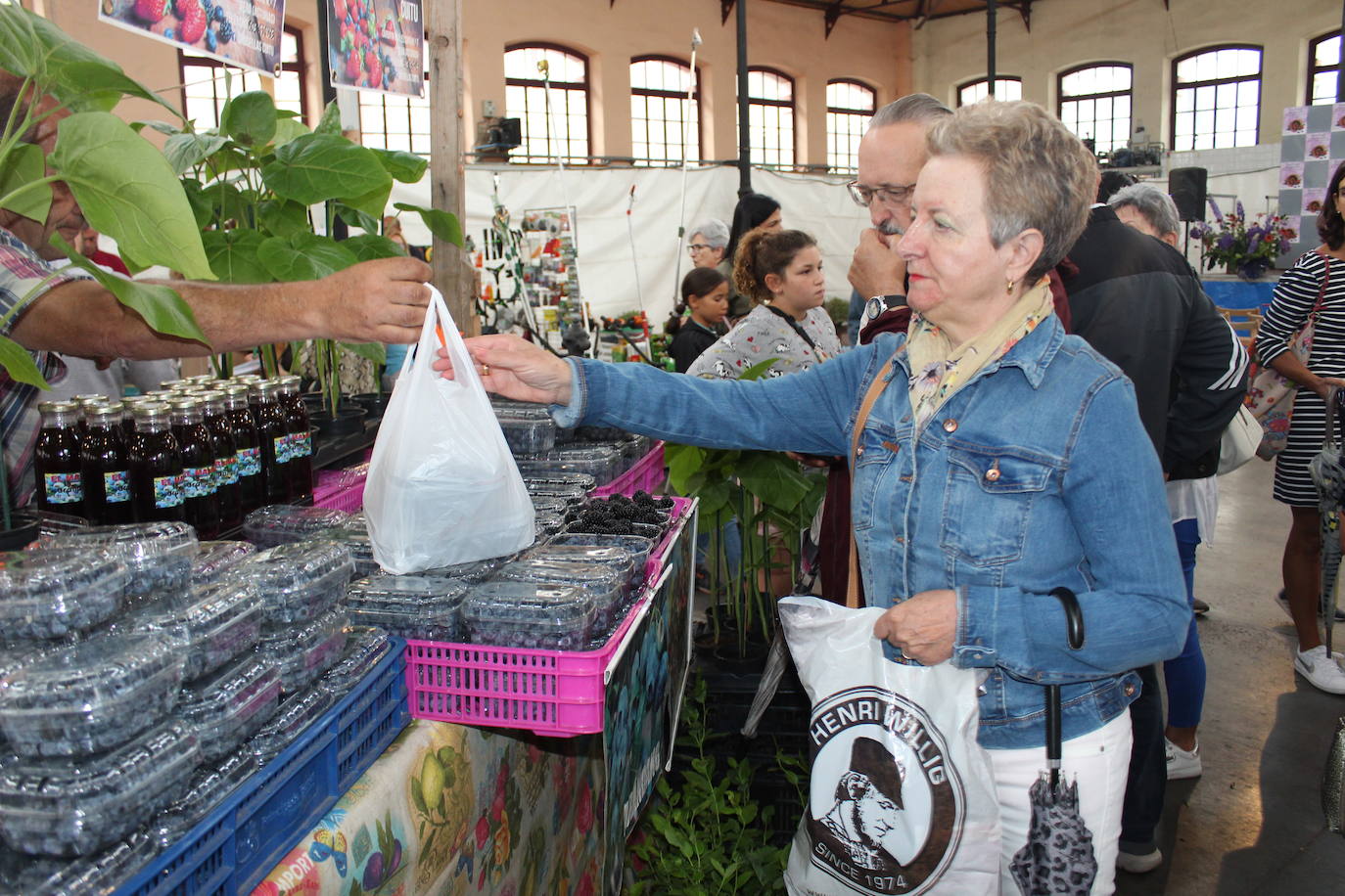 El concejo maliayo es el único de la región en el que se producen todas las variedades de frutos rojos