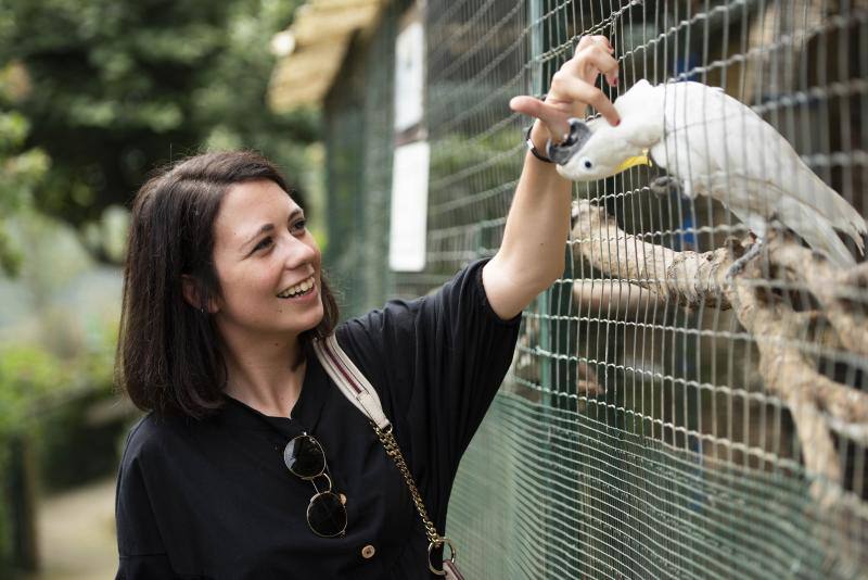 El zoológico El Bosque, situado en Oviedo, cuenta con 80 especies animales y más de 200 ejemplares con historias conmovedoras.