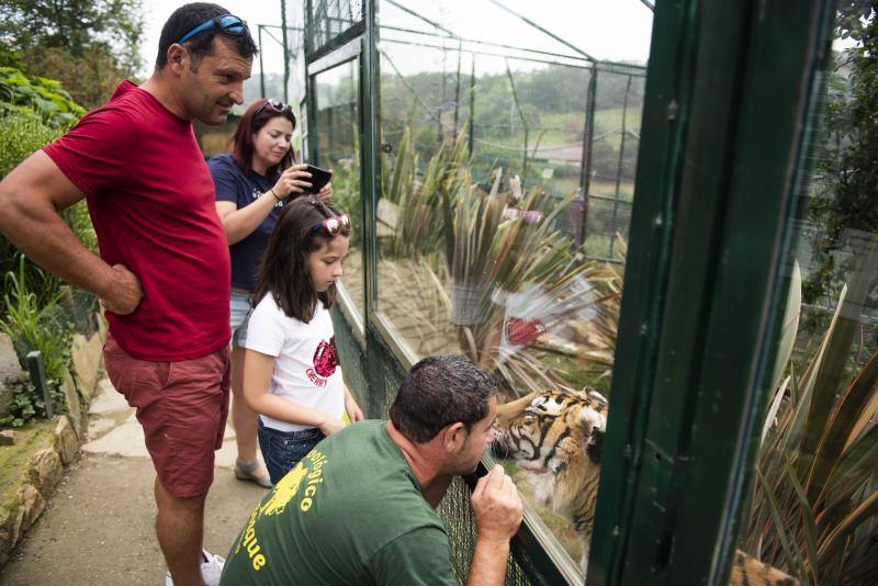 El zoológico El Bosque, situado en Oviedo, cuenta con 80 especies animales y más de 200 ejemplares con historias conmovedoras.