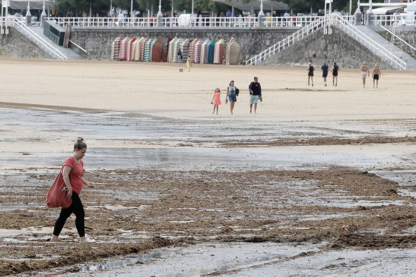 El principal arenal gijonés despertó cubierto de ocle, una imagen casi habitual para paseantes y bañistas. Emulsa se encarga cada día de la limpieza y recogida de todo lo acumulado.