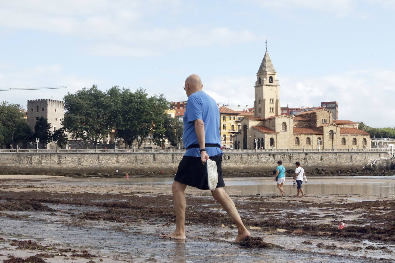 El principal arenal gijonés despertó cubierto de ocle, una imagen casi habitual para paseantes y bañistas. Emulsa se encarga cada día de la limpieza y recogida de todo lo acumulado.