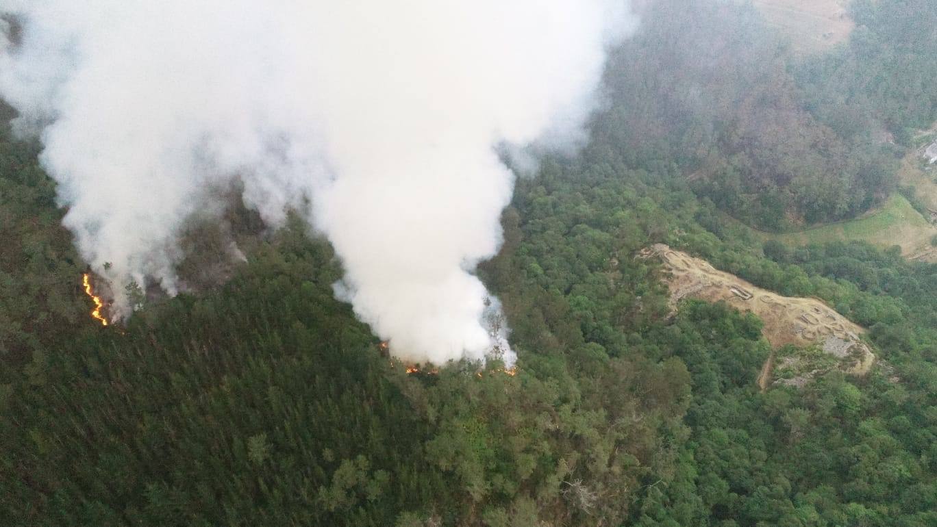 Las llamas continúan calcinando el pinar de Pendia, en Boal. El fuego se inició ayer a las 15.40 horas.