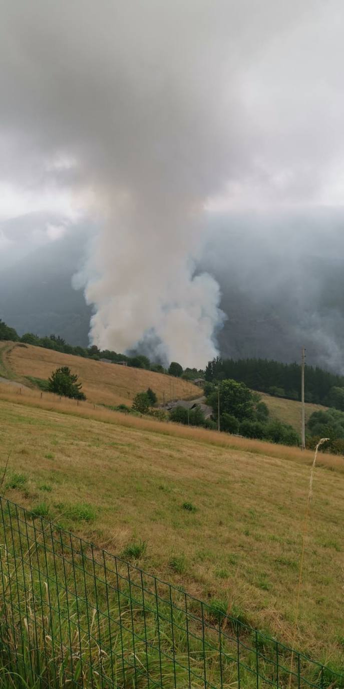 Las llamas continúan calcinando el pinar de Pendia, en Boal. El fuego se inició ayer a las 15.40 horas.