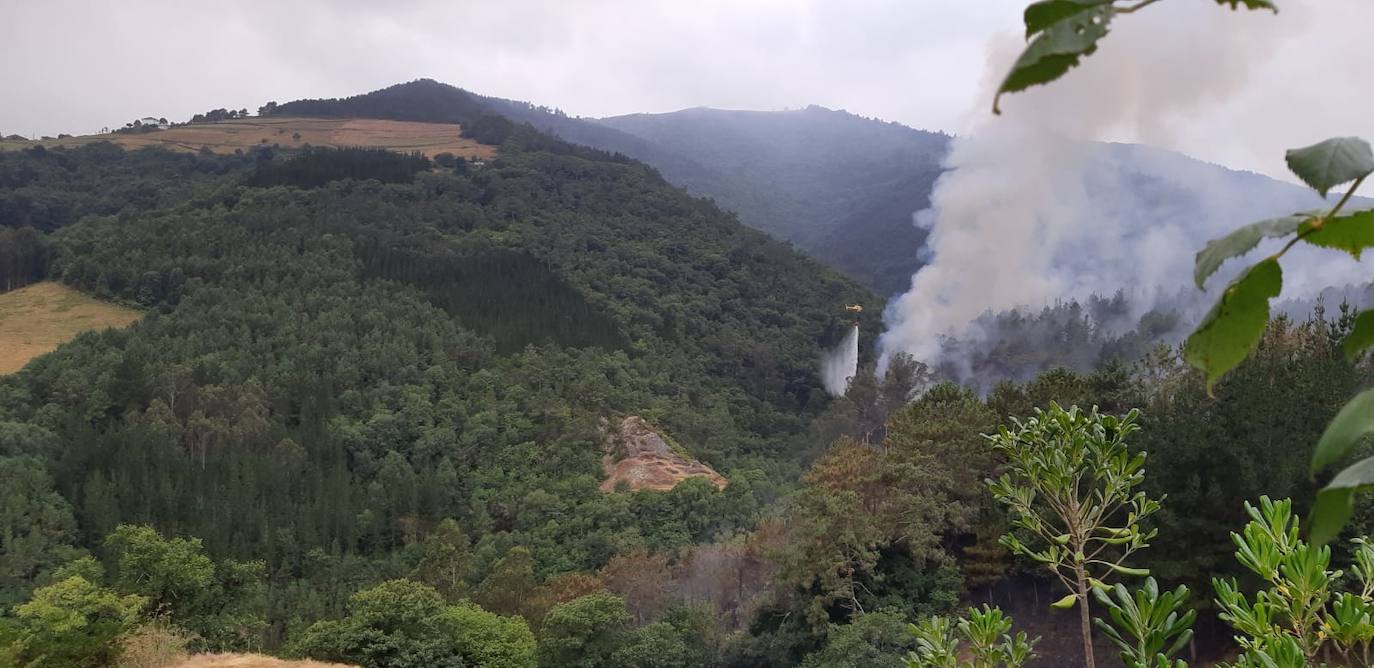 Las llamas continúan calcinando el pinar de Pendia, en Boal. El fuego se inició ayer a las 15.40 horas.