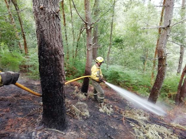 Efectivos de la BRIF de Tineo intervienen en Pendia. 