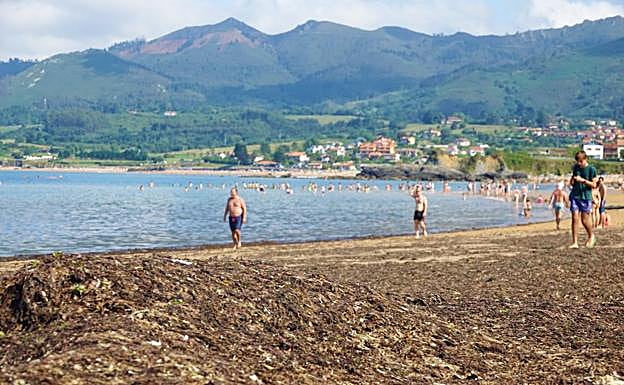 El ocle se acumula en la playa colunguesa de La Isla, mientras los bañistas se adentran en la mar tras levantarse la prohibición. 