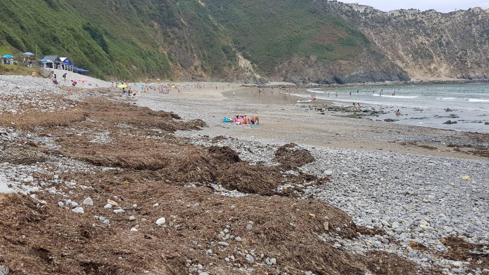 Cadavedo. El ocle ocupa gran parte del arenal de Valdés