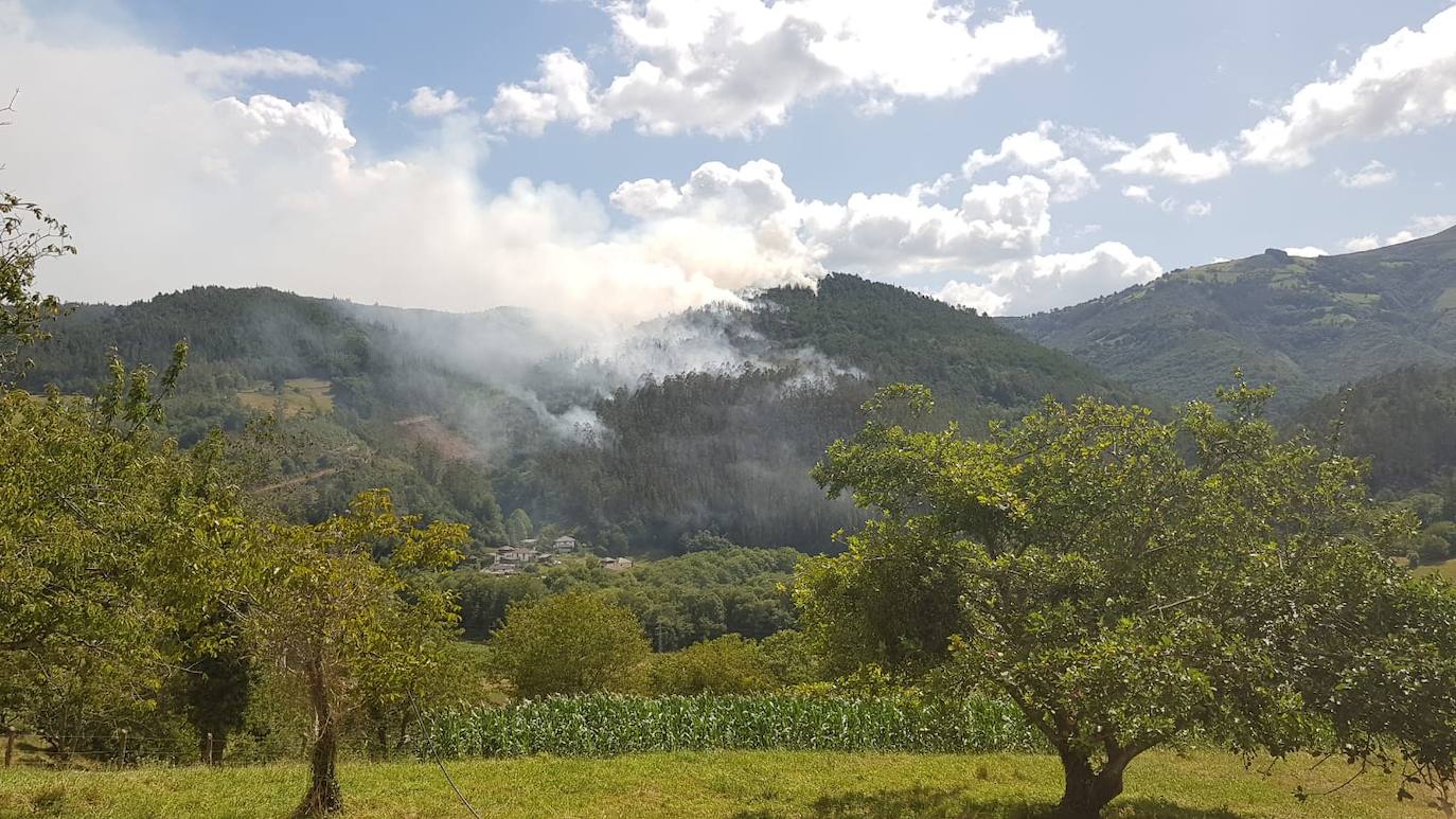 Bomberos de varios parques, la Brif y tres helicópteros trabajan en la extinción del fuego que se originó en torno a las 3 horas