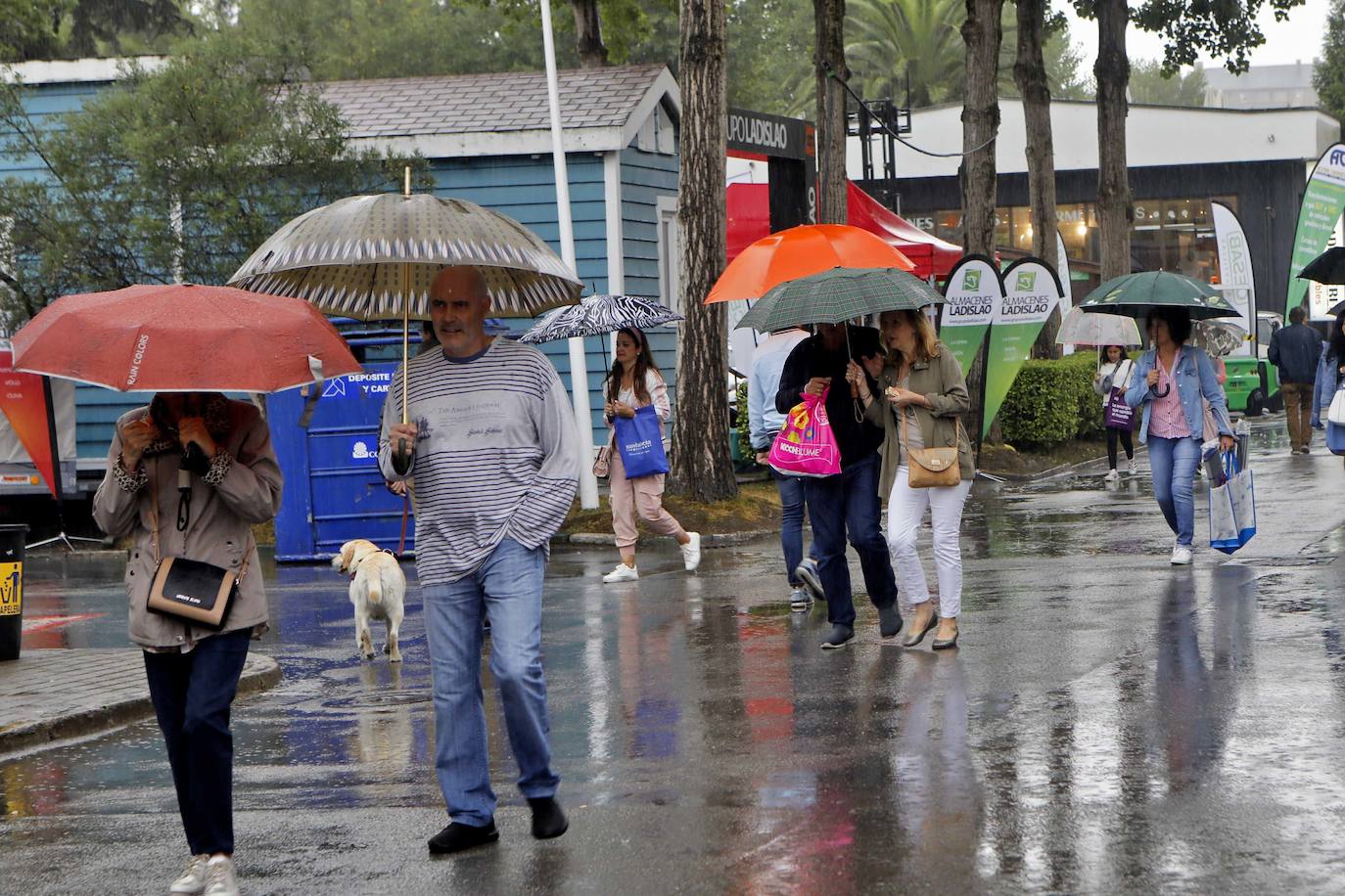 Los paraguas son los protagonistas en el útimo día de la Feria de Muestras de Asturias (Fidma).