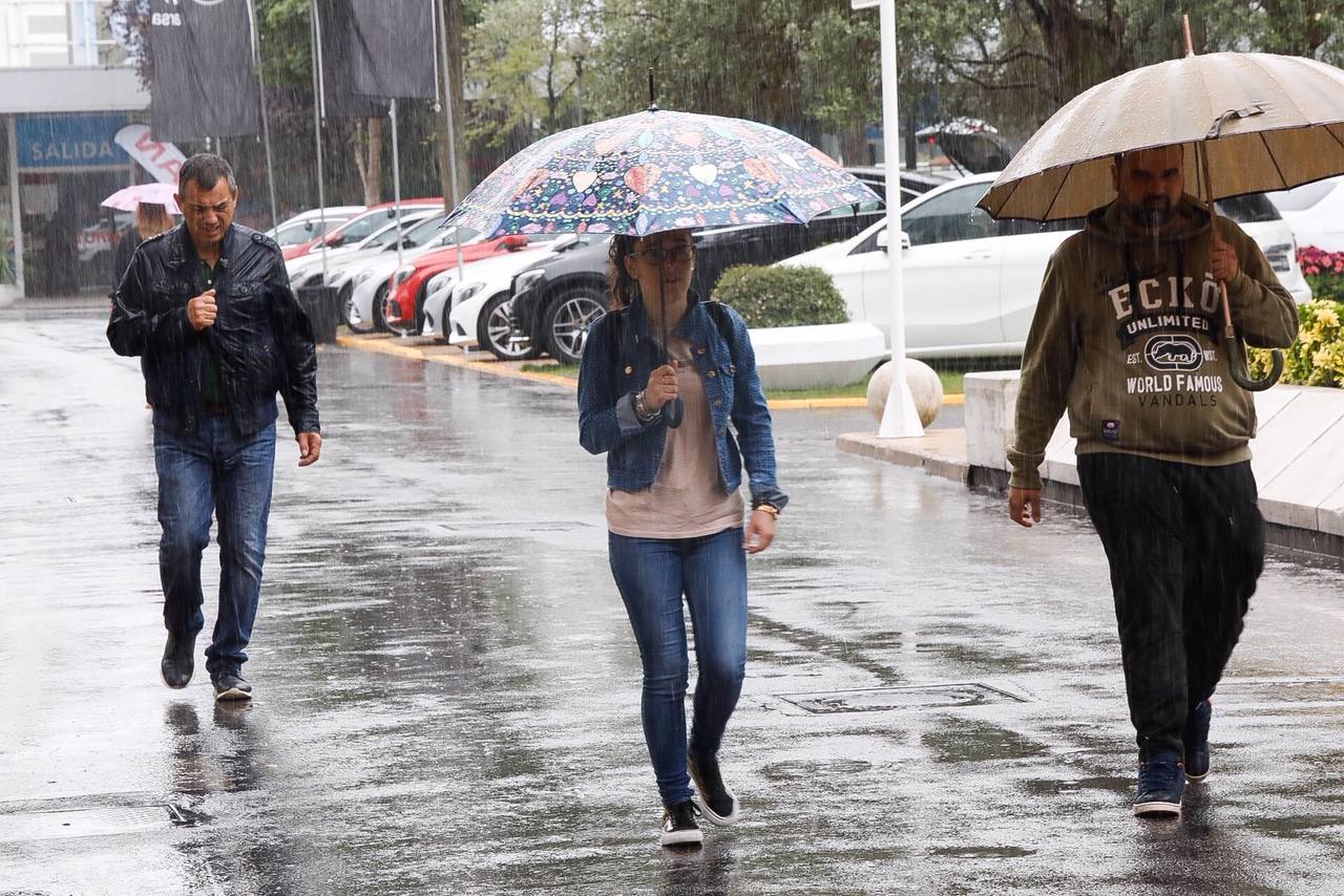 Los paraguas son los protagonistas en el útimo día de la Feria de Muestras de Asturias (Fidma).