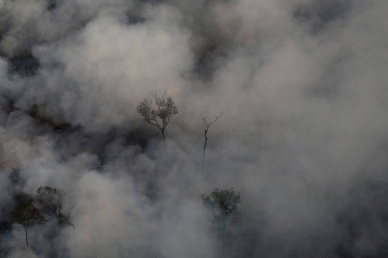 Fotos: Las impresionantes imágenes que deja el Amazonas en llamas