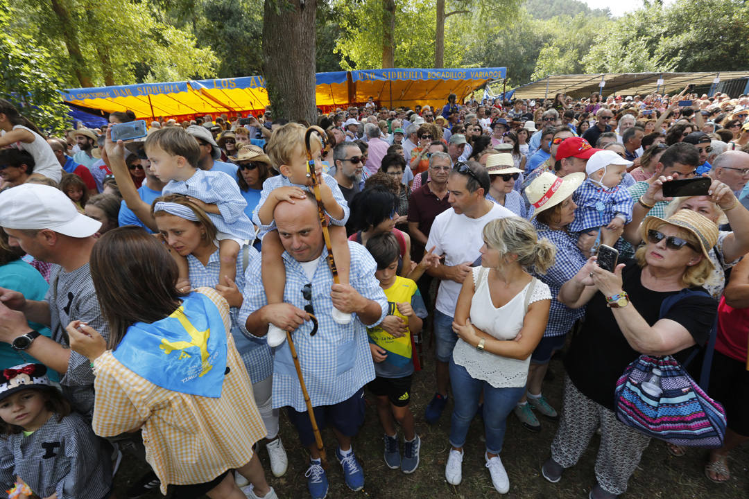 Miles de luarqueses y turistas disfrutaron este jueves de las populares fiestas de San Timoteo. ¡Búscate en nuestra galería! 