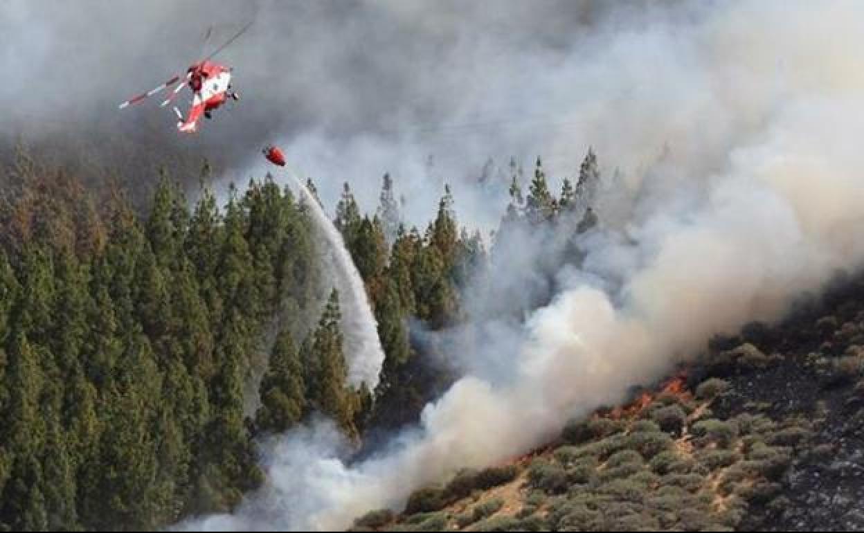 El incendio de Gran Canaria afecta a 900 hectáreas de tres municipios .