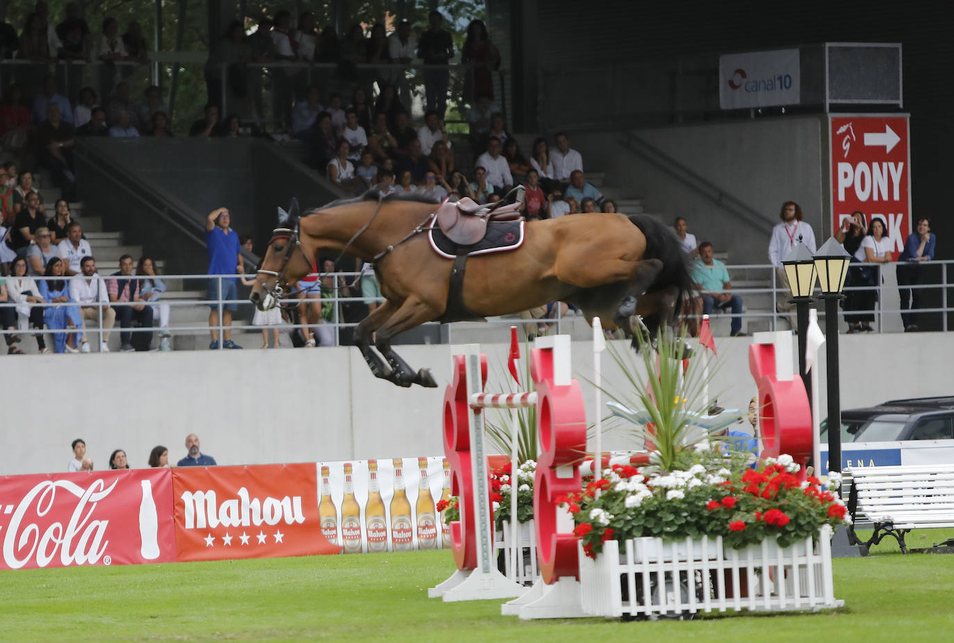 Tras acceder al recorrido de la segunda fase y después de afrontar el primer obstáculo, la amazona se descabalgó de su yegua y esta continuó el recorrido en solitario.