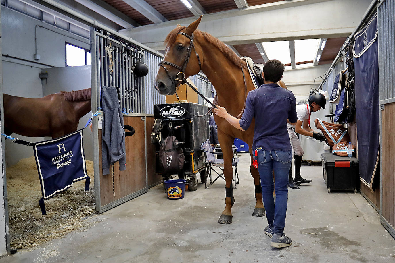 Fotos: El trabajo que no se ve en el Hípico de Gijón