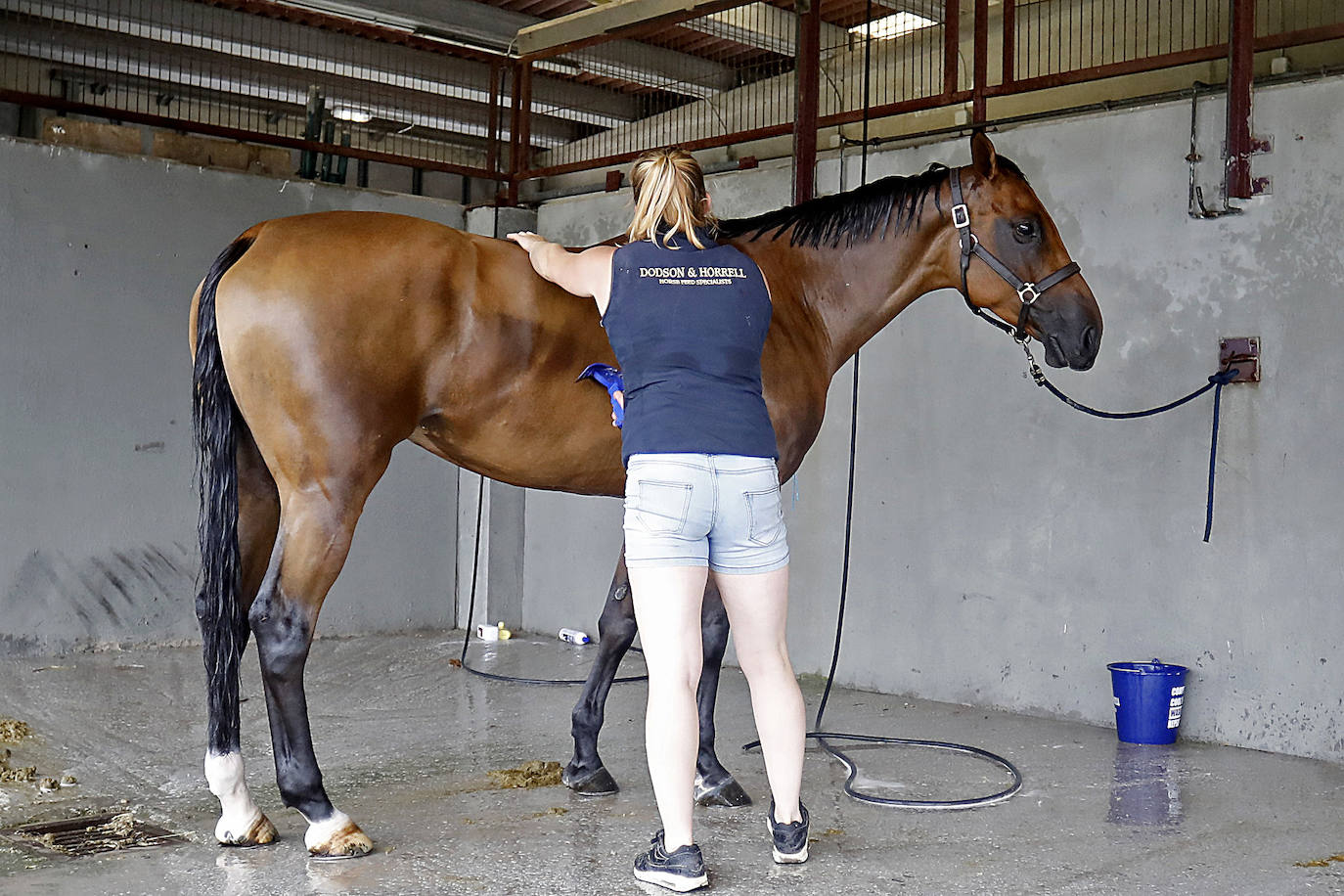 Fotos: El trabajo que no se ve en el Hípico de Gijón
