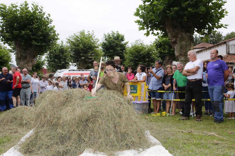 Cientos de personas disfrutaron en Benia de Onís de los concursos de siega, cabruñu y sábanu, así como la carrera en madreñes, en la Fiesta del Segador. 