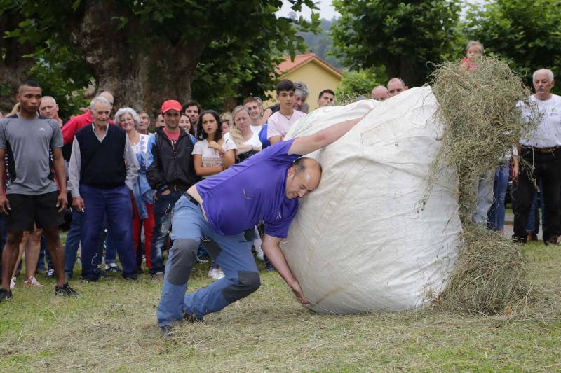 Cientos de personas disfrutaron en Benia de Onís de los concursos de siega, cabruñu y sábanu, así como la carrera en madreñes, en la Fiesta del Segador. 