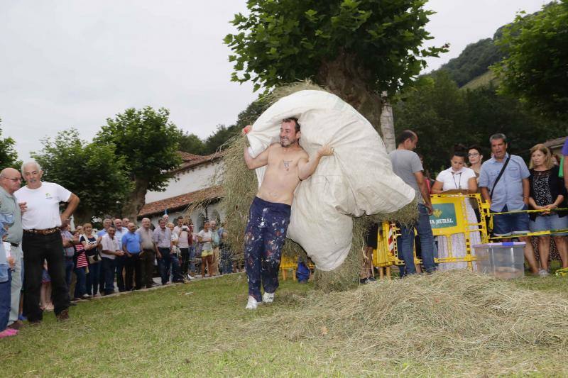 Cientos de personas disfrutaron en Benia de Onís de los concursos de siega, cabruñu y sábanu, así como la carrera en madreñes, en la Fiesta del Segador. 