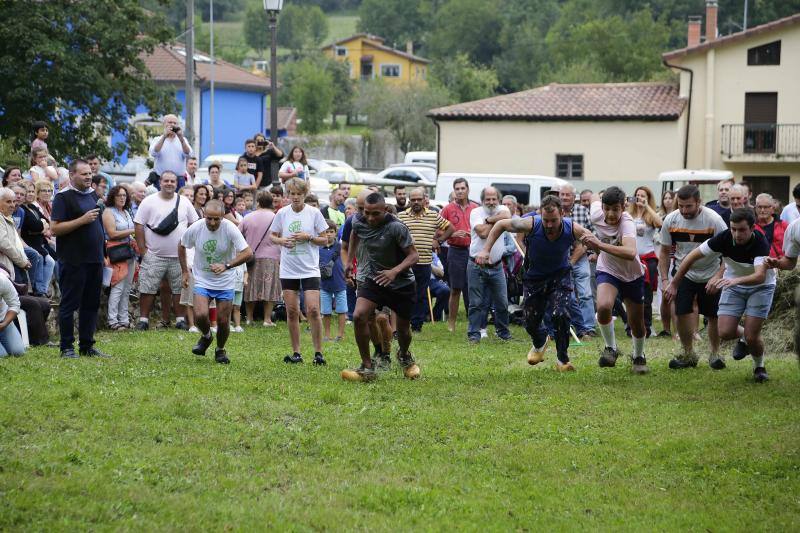 Cientos de personas disfrutaron en Benia de Onís de los concursos de siega, cabruñu y sábanu, así como la carrera en madreñes, en la Fiesta del Segador. 