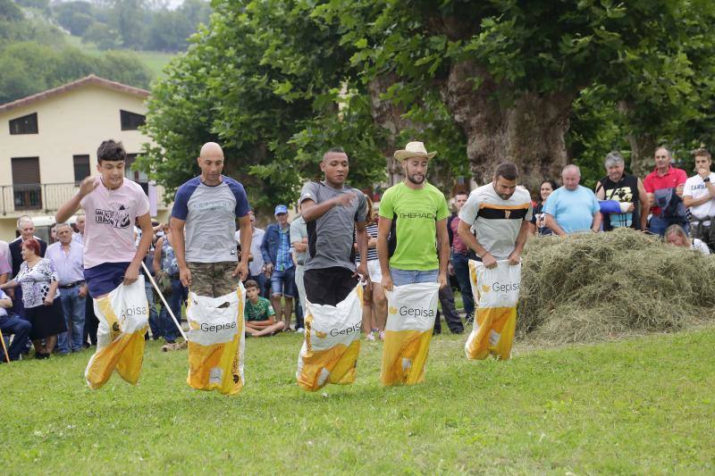 Cientos de personas disfrutaron en Benia de Onís de los concursos de siega, cabruñu y sábanu, así como la carrera en madreñes, en la Fiesta del Segador. 