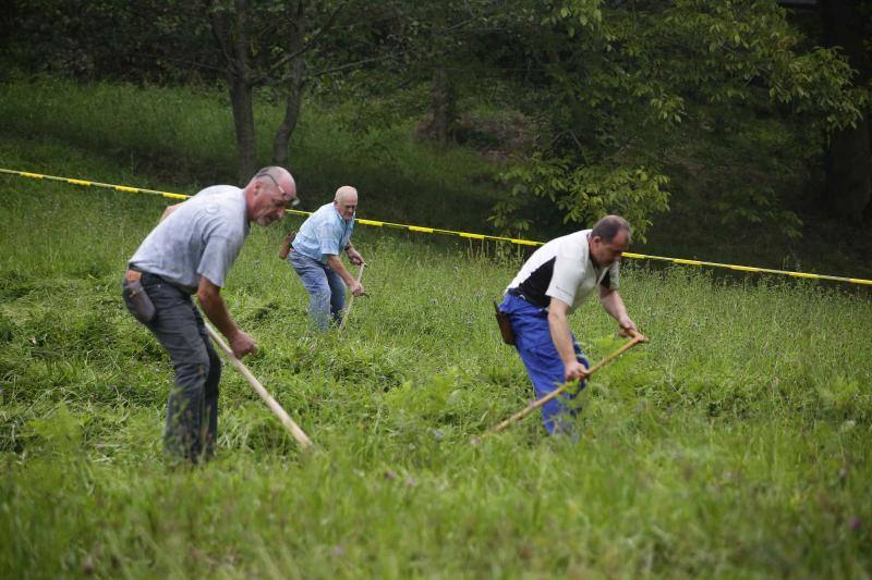 Cientos de personas disfrutaron en Benia de Onís de los concursos de siega, cabruñu y sábanu, así como la carrera en madreñes, en la Fiesta del Segador. 