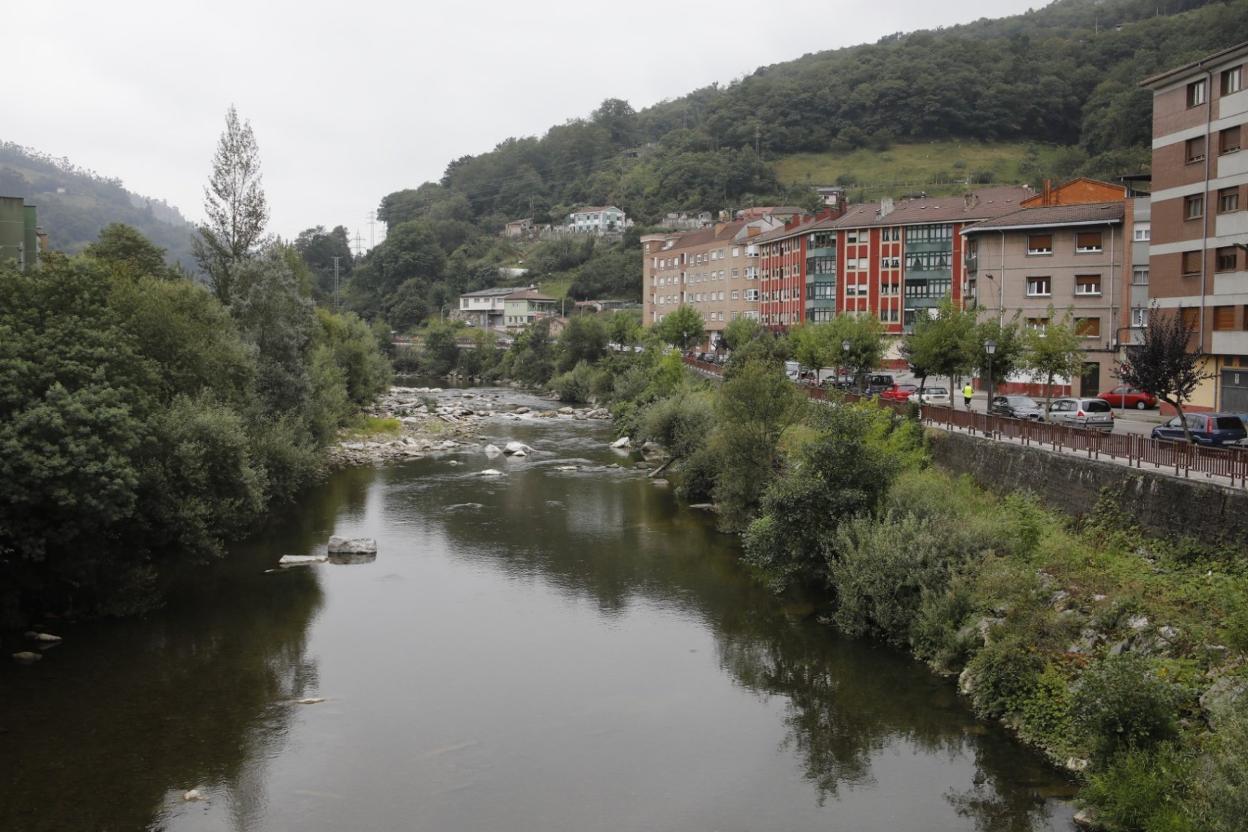 Río Nalón a su paso por el concejo de San Martín. 
