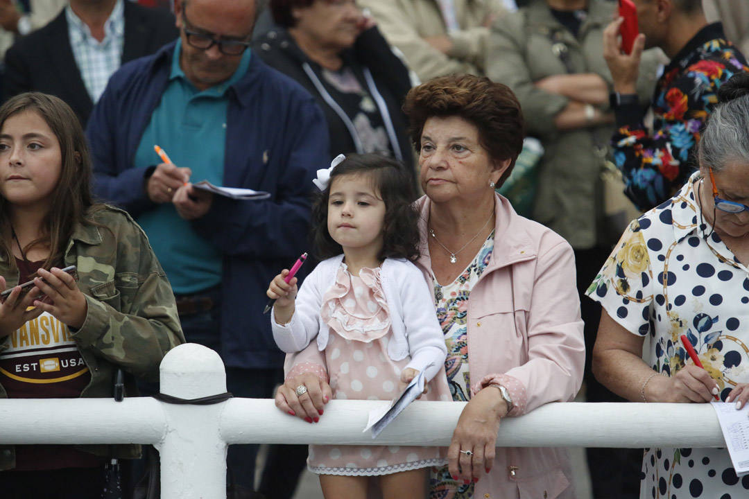 El hipódromo de Las Mestas acogió este domingo las últimas pruebas del CSIO Gijón 2019.