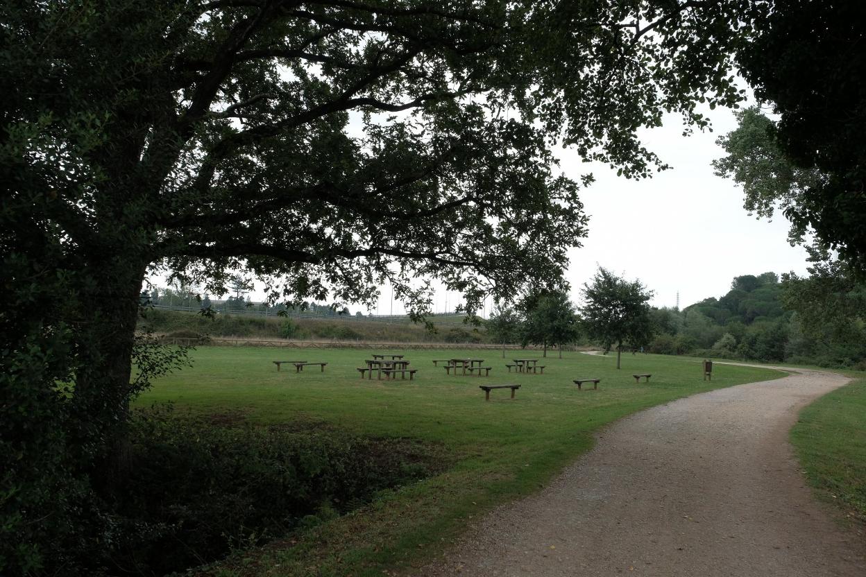 Área en la que se produjo la violación el pasado lunes. 