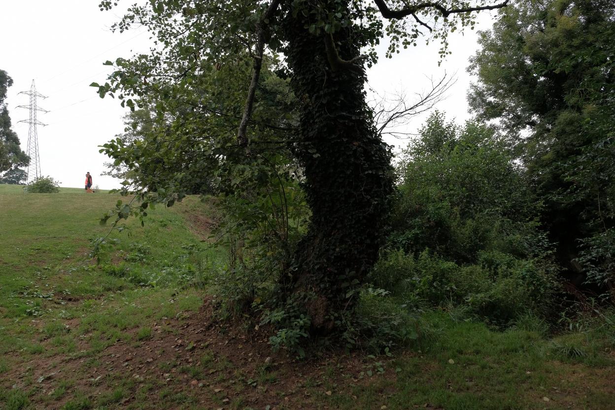 Zona en la que se produjo la violación. 