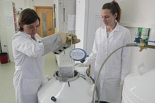 Una empresa asturiana, pionera en la conservación de microorganismos intestinales