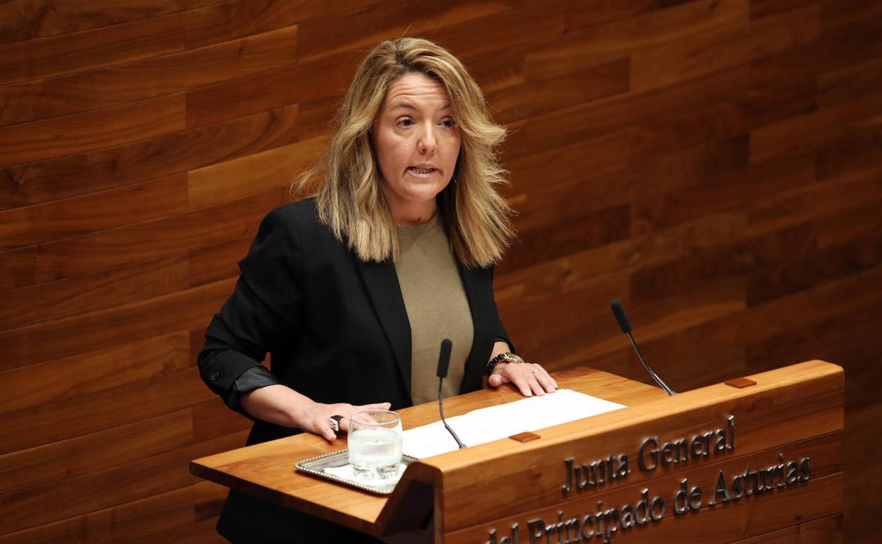 Teresa Mallada, portavoz del PP en la Junta General del Principado. 