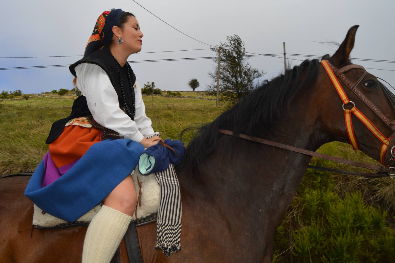 La fiesta de la trashumancia llena el alto de la Casa del Puerto, en Tineo, para recordar el pasado vaqueiro del concejo. Fue Danessa García, la Reina del festejo, quien encabezó la comitiva que partiió desde la braña de Las Tabiernas, seguida de los bueyes y los enseres que acompañaban a los trashumantes en su bajada del monte tras el estío. 