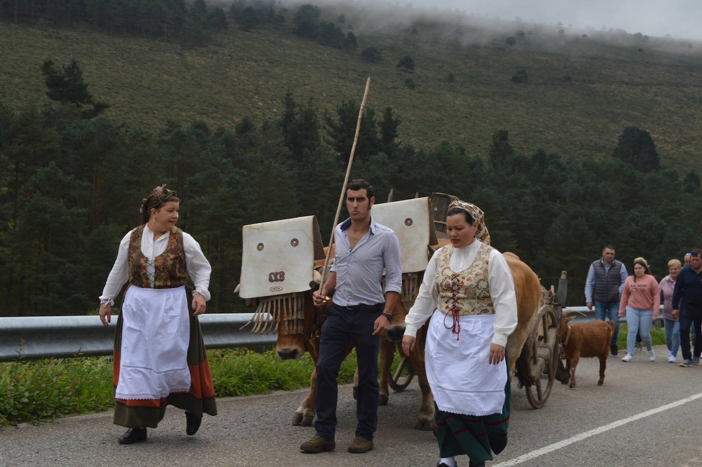 La fiesta de la trashumancia llena el alto de la Casa del Puerto, en Tineo, para recordar el pasado vaqueiro del concejo. Fue Danessa García, la Reina del festejo, quien encabezó la comitiva que partiió desde la braña de Las Tabiernas, seguida de los bueyes y los enseres que acompañaban a los trashumantes en su bajada del monte tras el estío. 