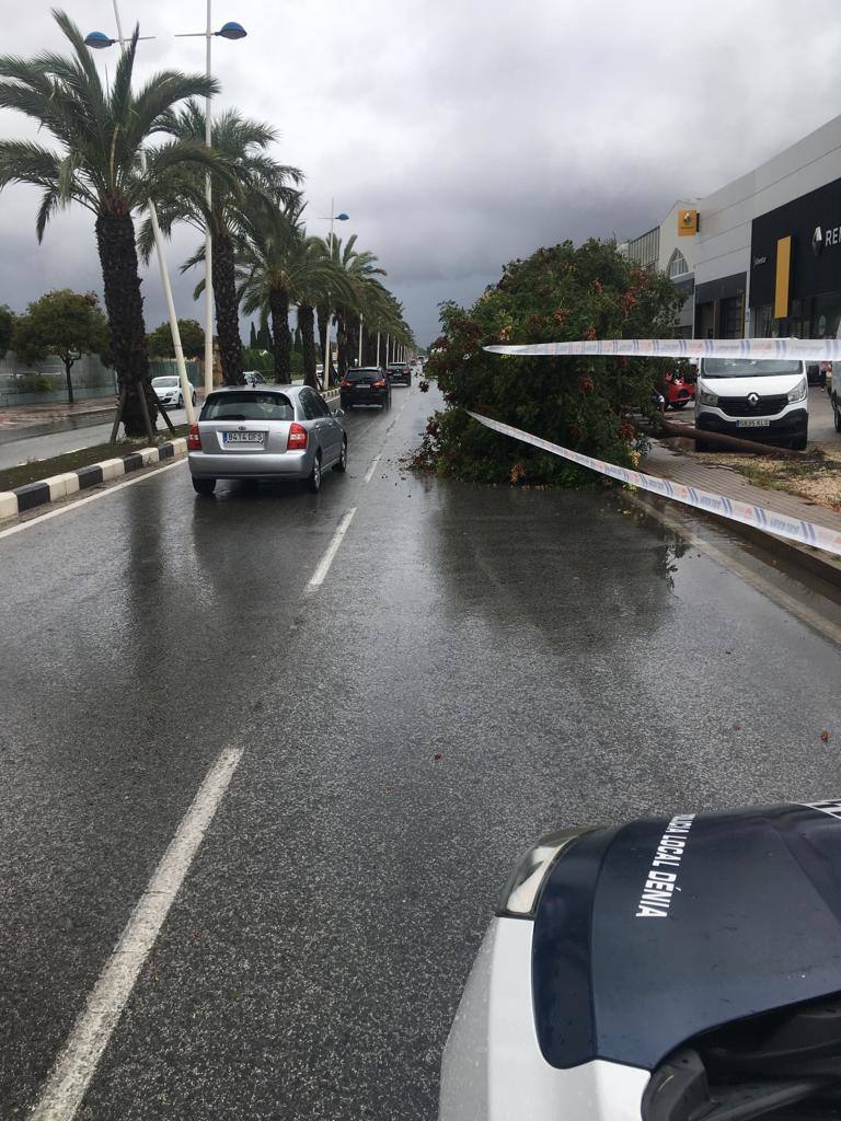Han evacuado a vecinos de Ontinyent por la crecida del río Clariano y un tornado ha hundido el pabellón municipal de Dénia