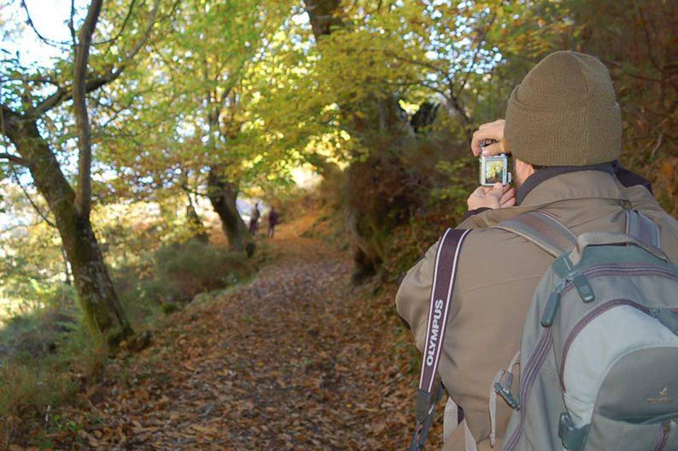 Fuentes del Narcea (Cangas del Narcea)