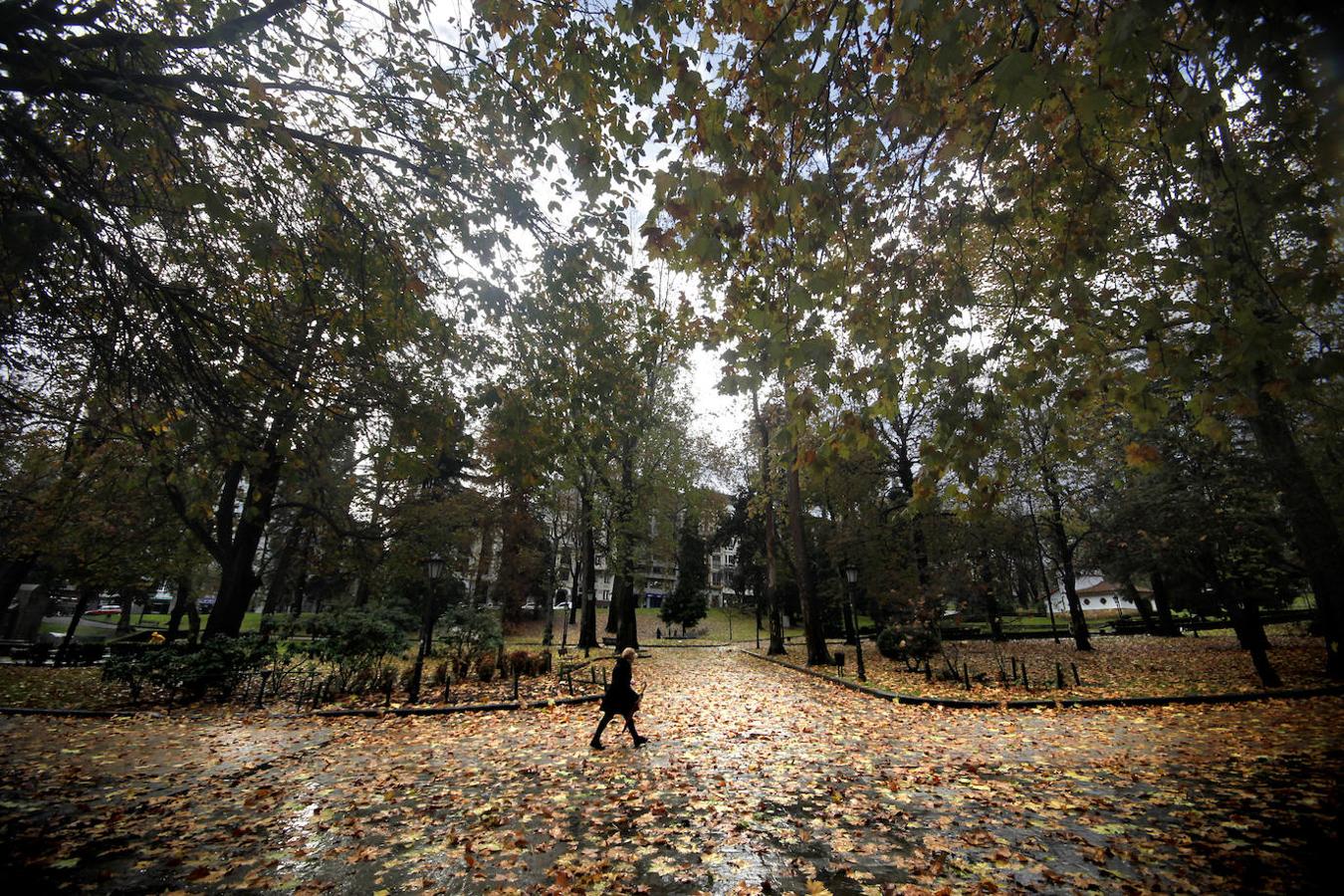 Campo San Francisco (Oviedo)