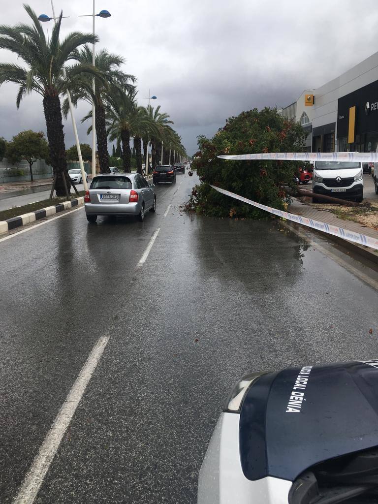 El temporal deja el tercer muerto, desborda el río Segura y azota todo el sureste. En la localidad valenciana de Onteniente, las lluvias por la gota fría ya acumulan más de trescientos litros por metro cuadrado, su máximo de lluvias desde 1917