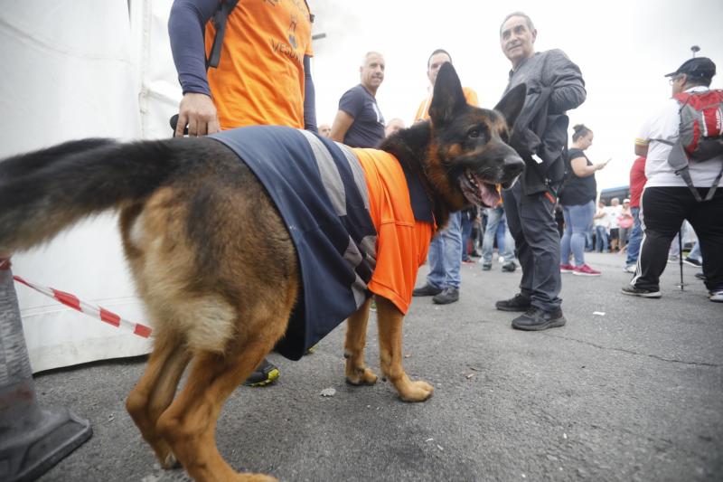 Trabajadores de la factoría langreana de Vesuvius, representantes políticos y sindicales y decenas de vecinos de la comarca participan en una marcha por la continuidad de la fábrica, cuyo futuro está amenazado por un ERE que afectará a los 111 trabajadores. Los manifestantes caminaron desde las instalaciones en el polígono de Riaño hasta el Ayuntamiento de Langreo.