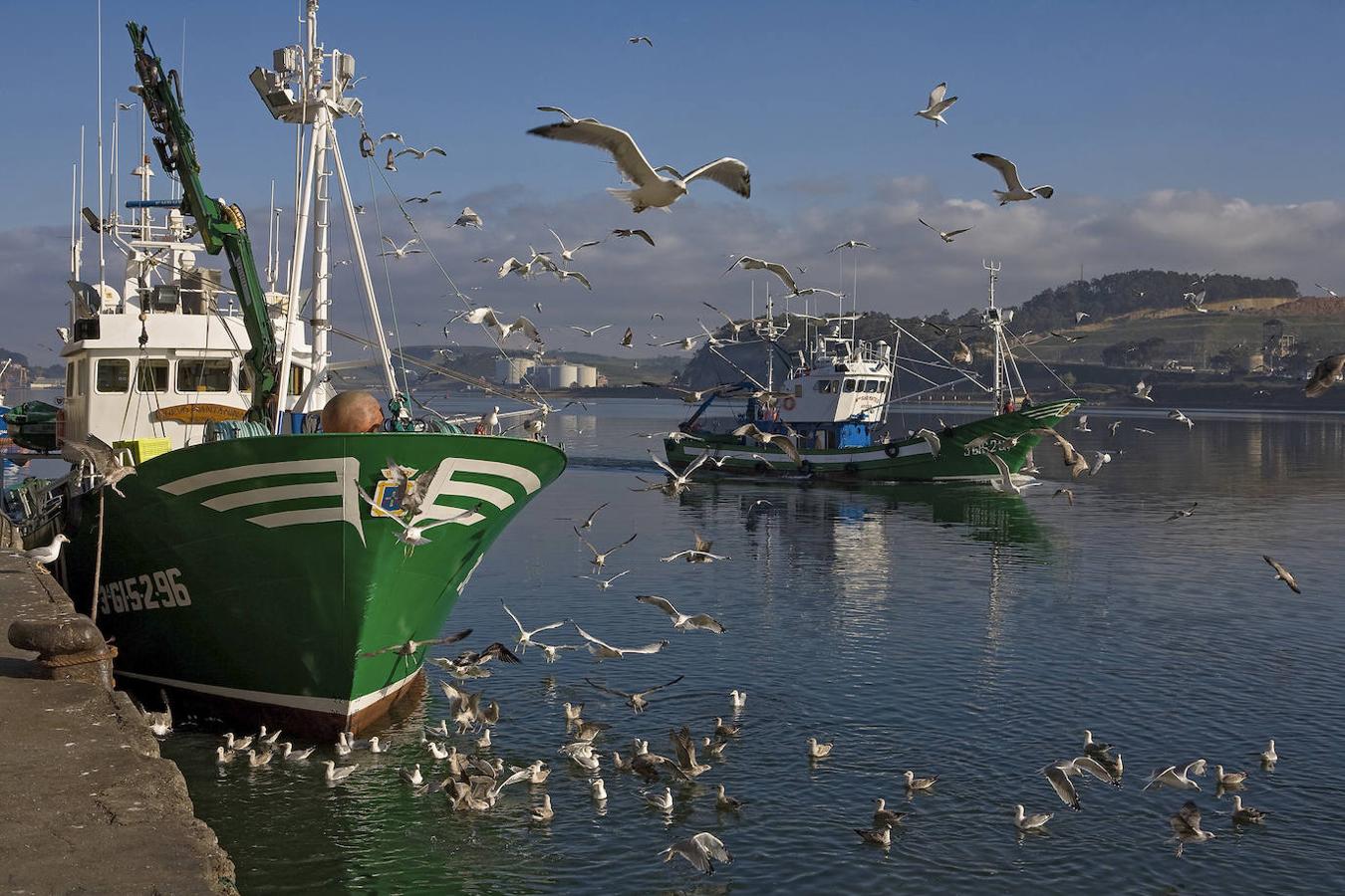 Escenas del Paraíso - Calendario Asturias 2019. Puerto pesquero de Avilés