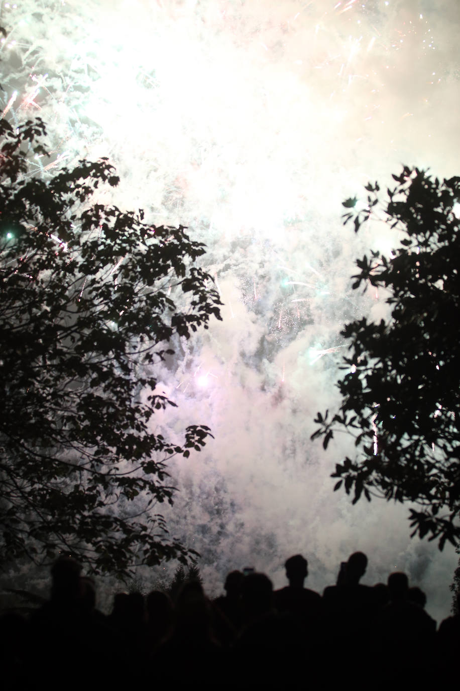 Miles de ovetenses acudieron al parque de Invierno para cumplir con la tradición y disfrutar a medianoche de 4.327 unidades de pirotecnia.