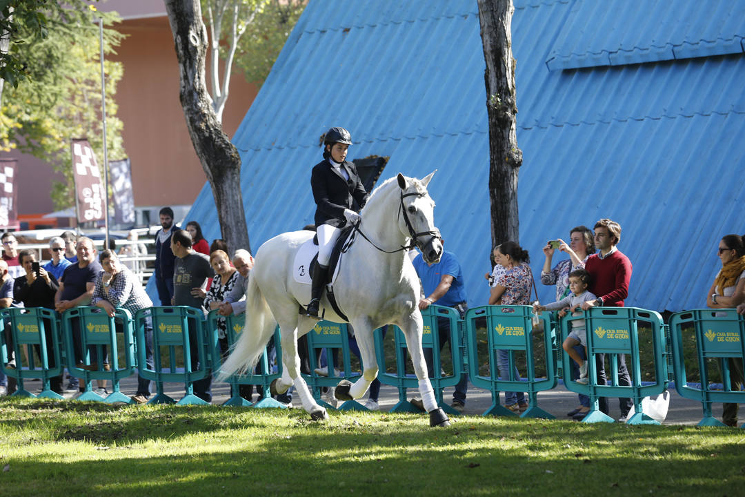 El recinto ferial Luis Adaro de Gijón se ha convertido en el mejor escaparate para los productos del campo asturiano. La agricultura y la ganadería, de ayer y de hoy, están representadas en un certamen atractivo para pequeños y mayores.