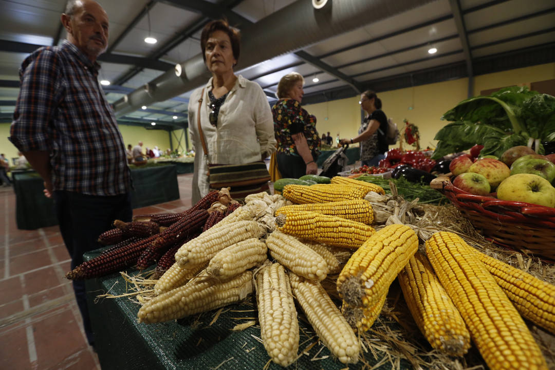 El recinto ferial Luis Adaro de Gijón se ha convertido en el mejor escaparate para los productos del campo asturiano. La agricultura y la ganadería, de ayer y de hoy, están representadas en un certamen atractivo para pequeños y mayores.