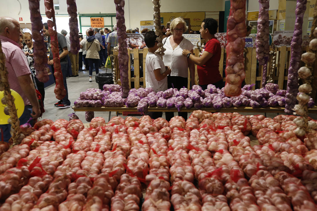 El recinto ferial Luis Adaro de Gijón se ha convertido en el mejor escaparate para los productos del campo asturiano. La agricultura y la ganadería, de ayer y de hoy, están representadas en un certamen atractivo para pequeños y mayores.
