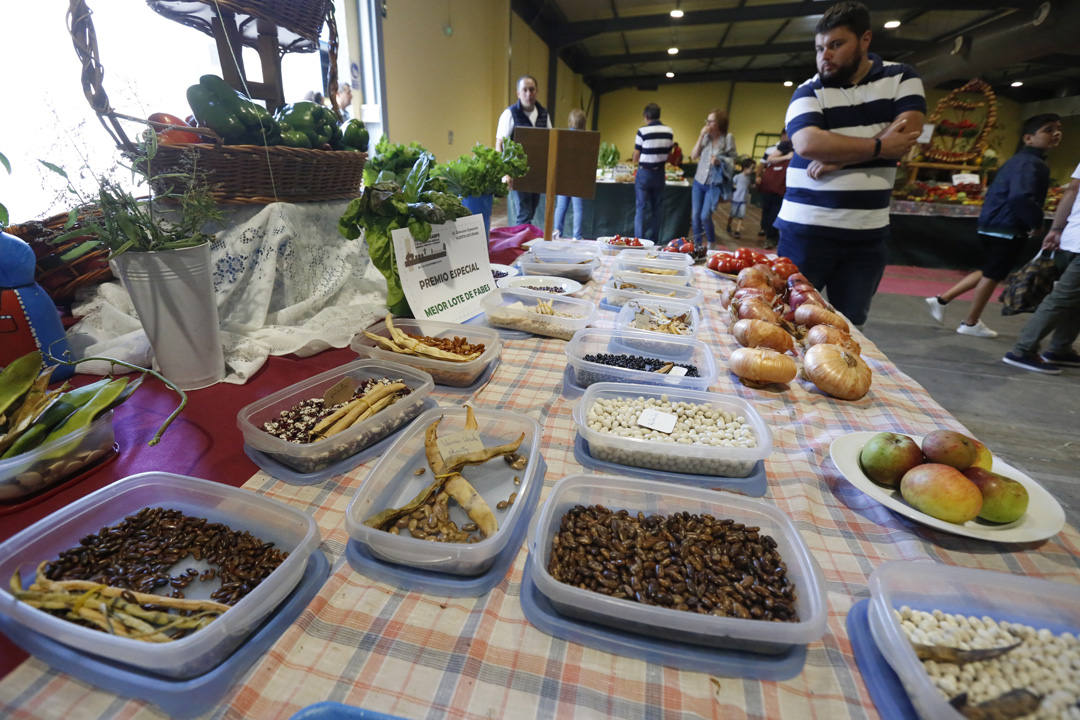 Deportes y juegos tradicionales, concurso de ganado, degustación de sidra y otros productos autóctonos han puesto el broche a la edición de este año de la feria del campo asturiano, Agropec.